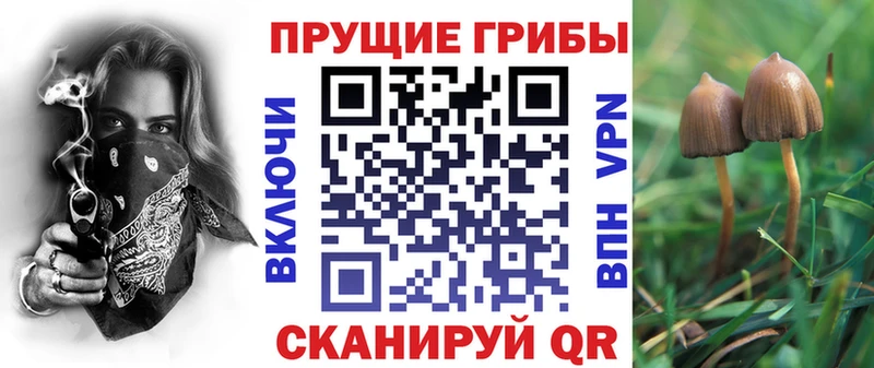 Галлюциногенные грибы прущие грибы  Мураши 