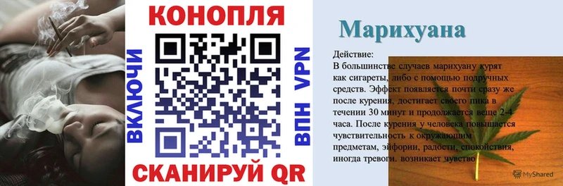 МЕГА рабочий сайт  Мураши  Бошки Шишки план 